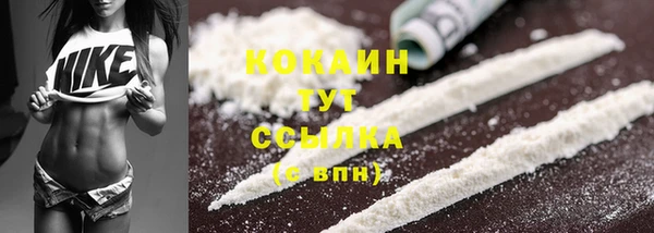 apvp Михайлов
