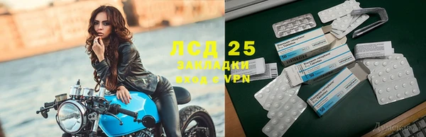 ПСИЛОЦИБИНОВЫЕ ГРИБЫ Михайловск