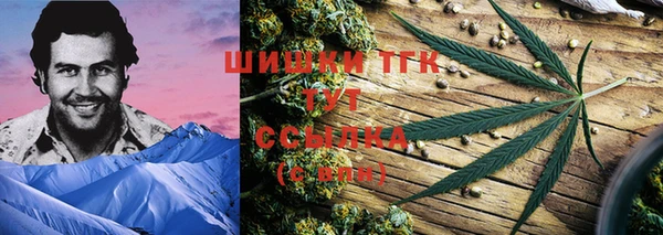 ПСИЛОЦИБИНОВЫЕ ГРИБЫ Михайловск
