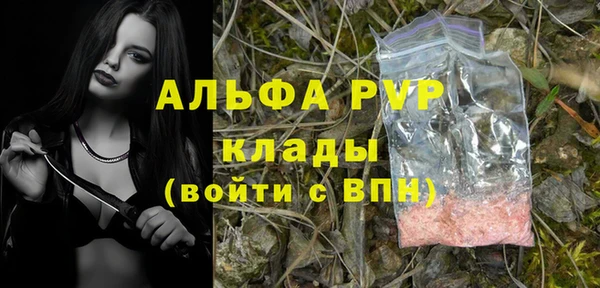 ПСИЛОЦИБИНОВЫЕ ГРИБЫ Михайловск