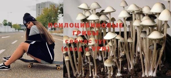 apvp Михайлов