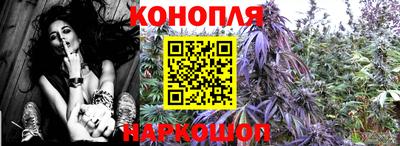 сатива Абинск