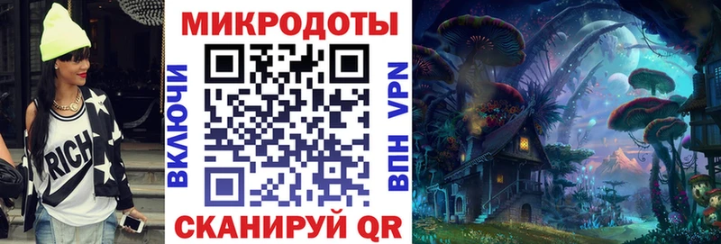 Псилоцибиновые грибы Psilocybe Нальчик