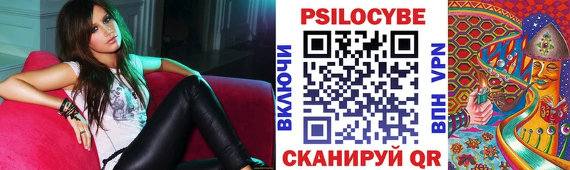 Псилоцибиновые грибы мицелий  Нальчик 