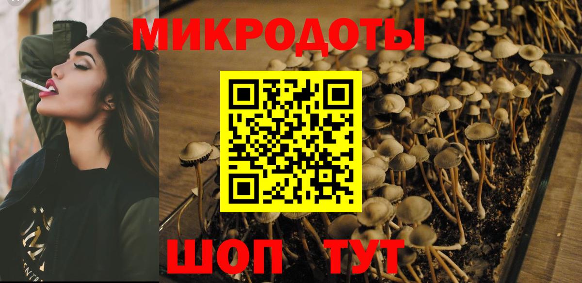 Псилоцибиновые грибы ЛСД  Галлюциногенные грибы GOLDEN TEACHER  Нальчик 