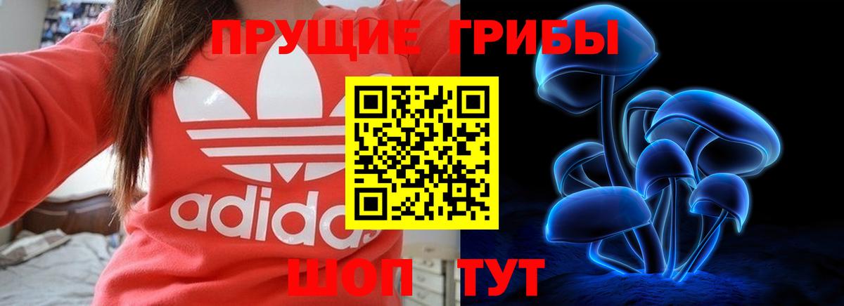 Псилоцибиновые грибы MAGIC MUSHROOMS Нальчик