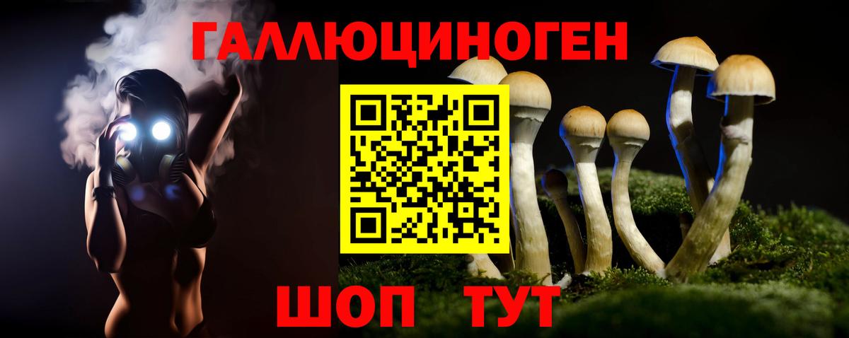 Псилоцибиновые грибы Cubensis  Вход с VPN  Нальчик 